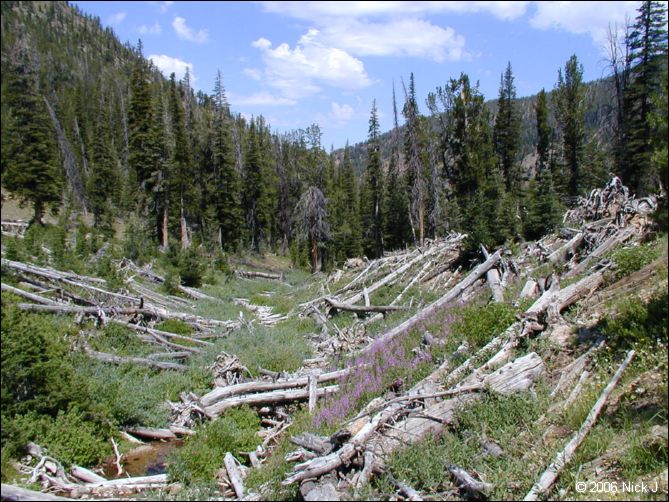 jarbidge_2006-07_nj_124.jpg
