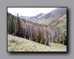 Click to enlarge jarbidge_2006-07_lw_093.jpg