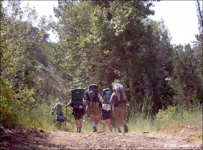 jarbidge_2006-07_lw_003.jpg