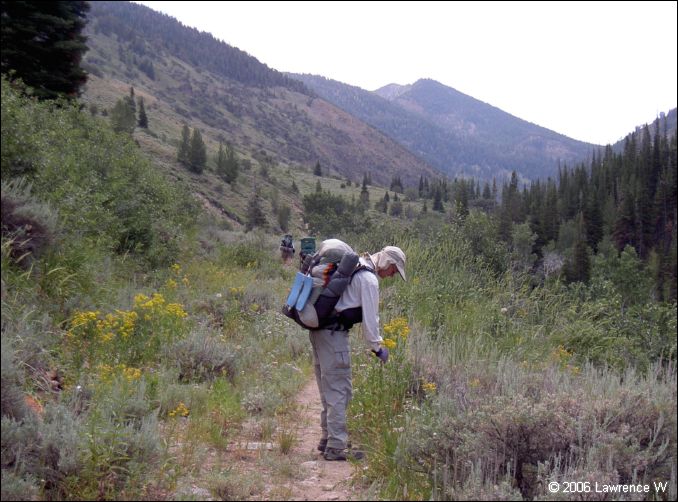jarbidge_2006-07_lw_005.jpg