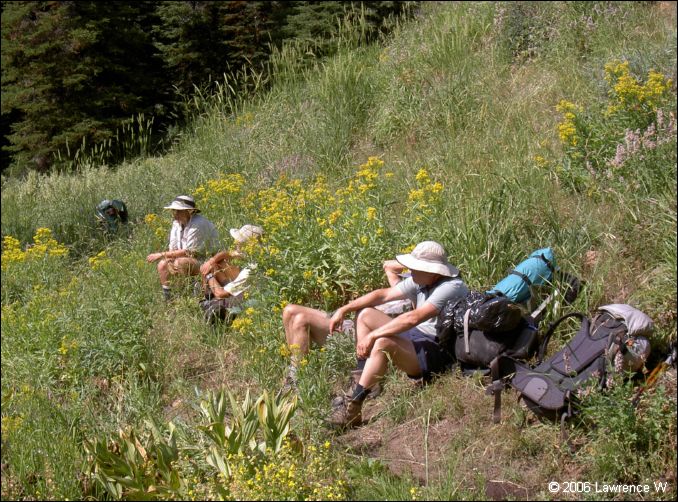 jarbidge_2006-07_lw_067.jpg