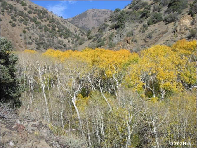 2012-10-07_nv_toiyabe_twin-rivers_nj_0011.jpg