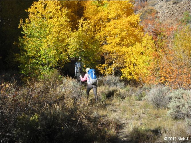 2012-10-07_nv_toiyabe_twin-rivers_nj_0012.jpg