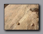 Click to enlarge 2008-05_capitolreef_ut_0580.jpg