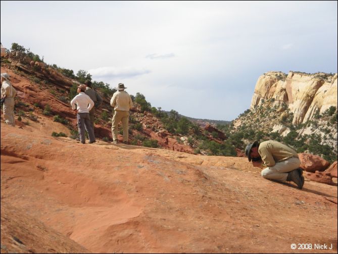 2008-05_capitolreef_ut_0498.jpg