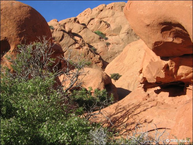 2008-05_capitolreef_ut_0499.jpg