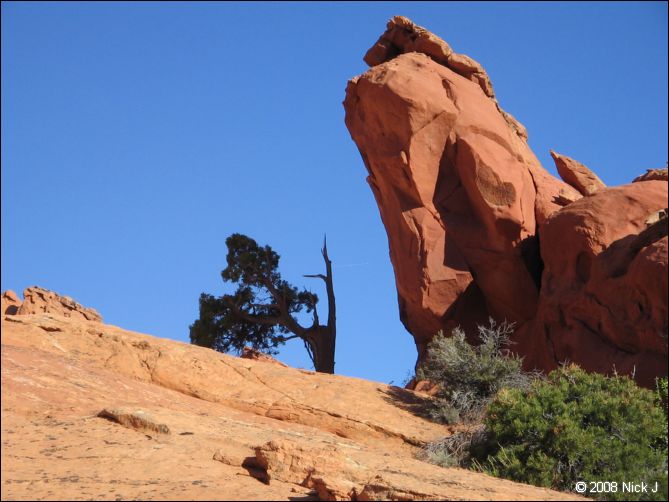 2008-05_capitolreef_ut_0503.jpg