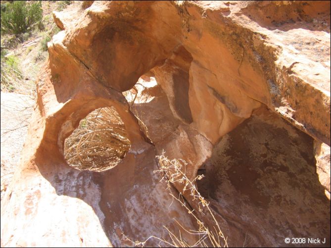 2008-05_capitolreef_ut_0527.jpg