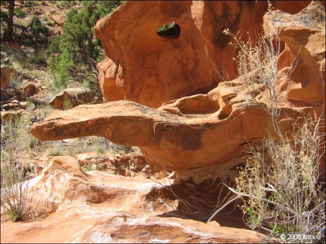 2008-05_capitolreef_ut_0528.jpg