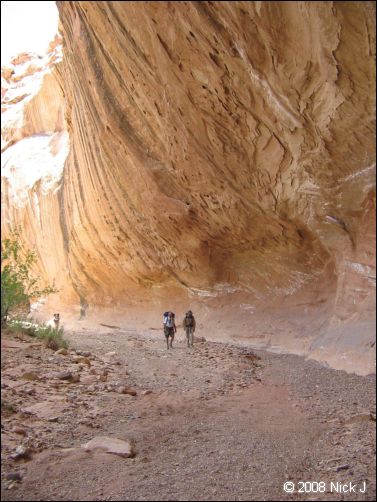 2008-05_capitolreef_ut_0534.jpg