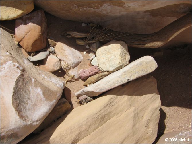 2008-05_capitolreef_ut_0535.jpg