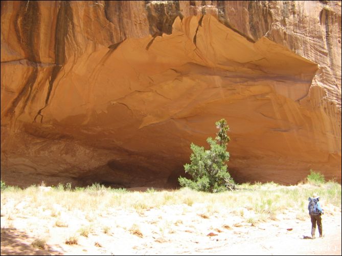 2008-05_capitolreef_ut_0536.jpg