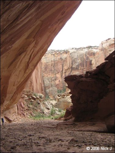 2008-05_capitolreef_ut_0538.jpg