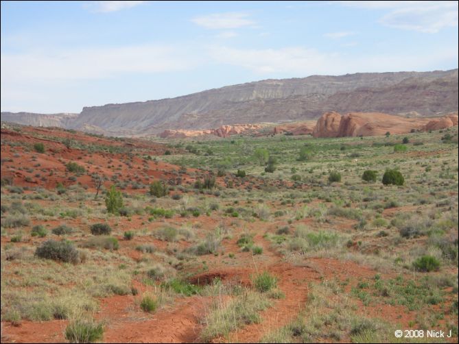 2008-05_capitolreef_ut_0551.jpg