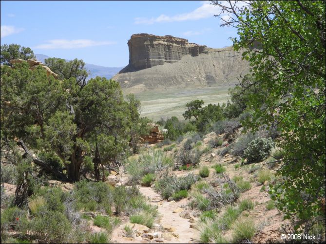 2008-05_capitolreef_ut_0564.jpg