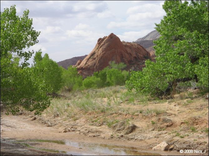 2008-05_capitolreef_ut_0574.jpg