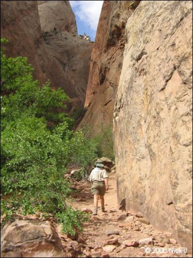 2008-05_capitolreef_ut_0577.jpg
