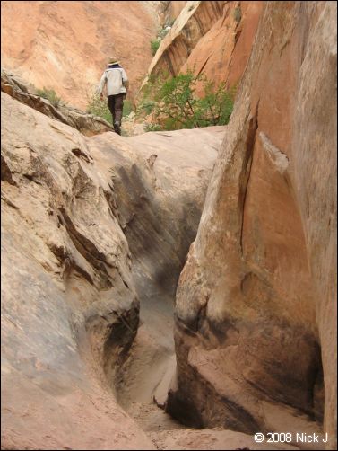 2008-05_capitolreef_ut_0578.jpg
