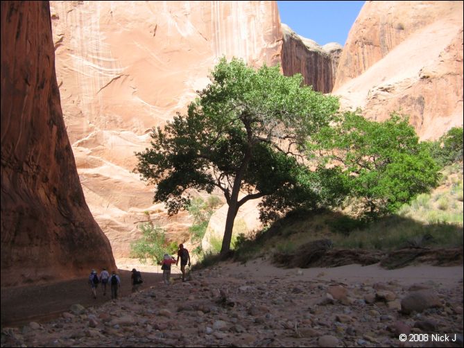 2008-05_capitolreef_ut_0604.jpg