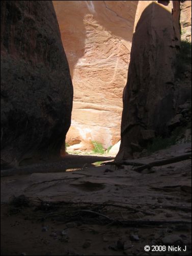 2008-05_capitolreef_ut_0605.jpg