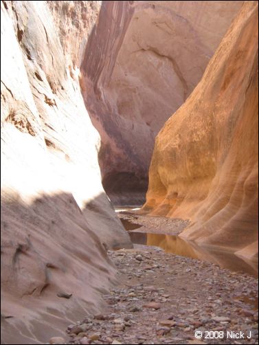2008-05_capitolreef_ut_0606.jpg
