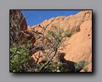 Click to enlarge 2008-05_capitolreef_ut_0501.jpg