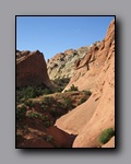 Click to enlarge 2008-05_capitolreef_ut_0502.jpg