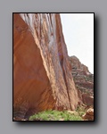 Click to enlarge 2008-05_capitolreef_ut_0521.jpg