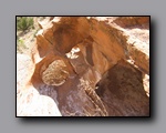 Click to enlarge 2008-05_capitolreef_ut_0527.jpg