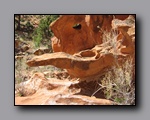 Click to enlarge 2008-05_capitolreef_ut_0528.jpg