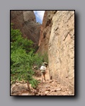 Click to enlarge 2008-05_capitolreef_ut_0577.jpg