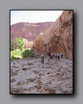 Click to enlarge 2008-05_capitolreef_ut_0601.jpg