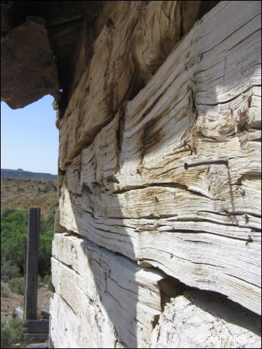 2009-05-ut-s-rafael-swell-nj-406.jpg