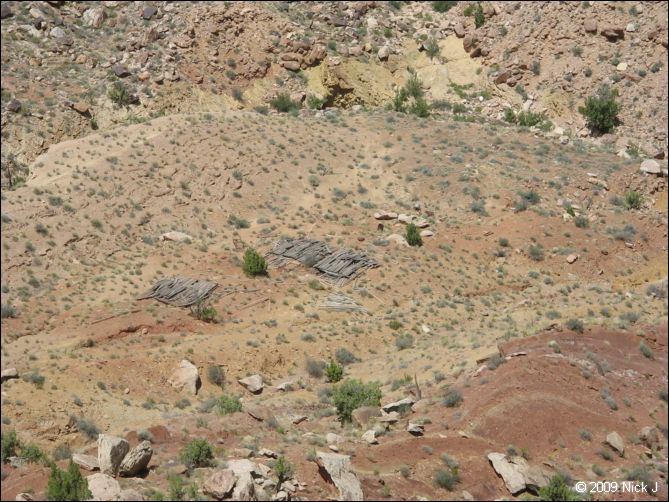 2009-05-ut-s-rafael-swell-nj-502.jpg