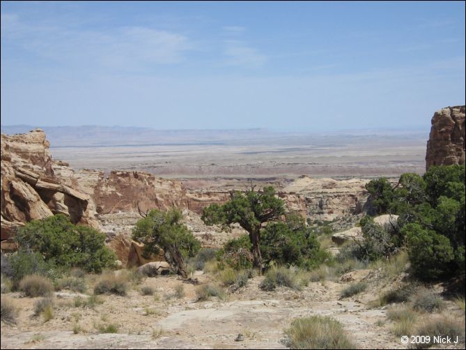 2009-05-ut-s-rafael-swell-nj-348.jpg