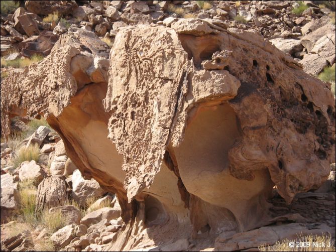 2009-05-ut-s-rafael-swell-nj-351.jpg