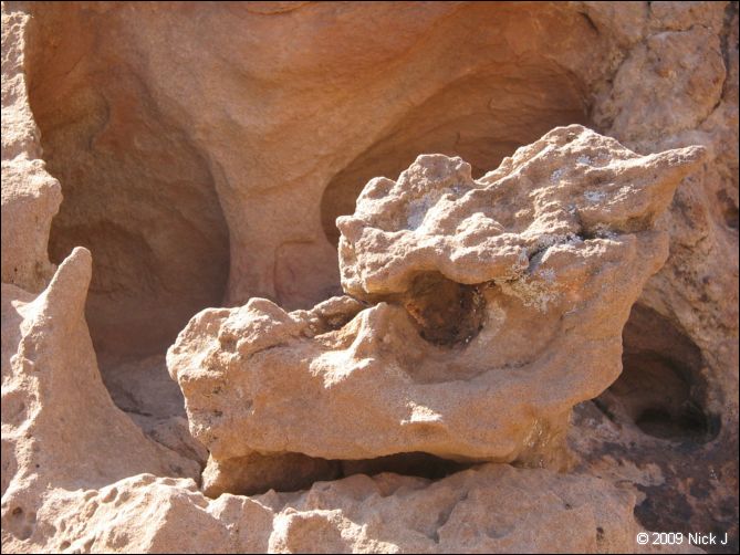 2009-05-ut-s-rafael-swell-nj-354.jpg