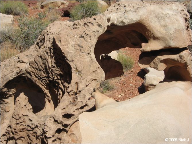 2009-05-ut-s-rafael-swell-nj-356.jpg