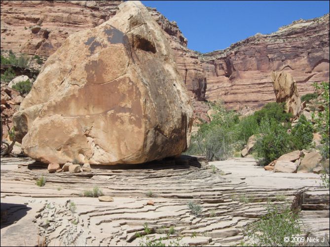2009-05-ut-s-rafael-swell-nj-371.jpg