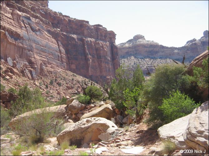 2009-05-ut-s-rafael-swell-nj-372.jpg