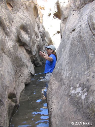 2009-05-ut-s-rafael-swell-nj-428.jpg