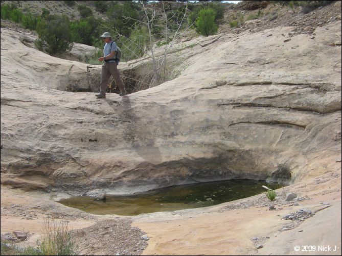 2009-05-ut-s-rafael-swell-nj-443.jpg