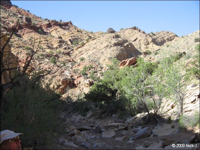 2009-05-ut-s-rafael-swell-nj-484.jpg