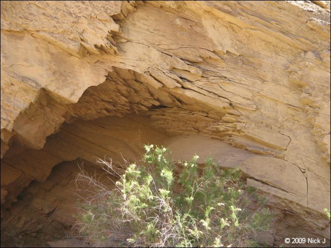 2009-05-ut-s-rafael-swell-nj-485.jpg