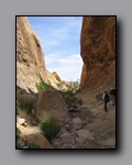 Click to enlarge 2009-05-ut-s-rafael-swell-nj-517.jpg